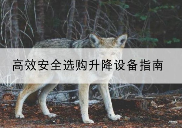 志丹升降货梯厂家推荐-*安全选购升降设备指南