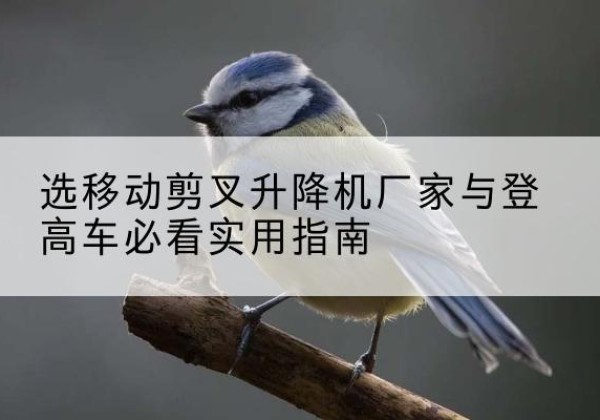 志丹电动升降机厂家-选移动剪叉升降机厂家与登高车必看实用指南