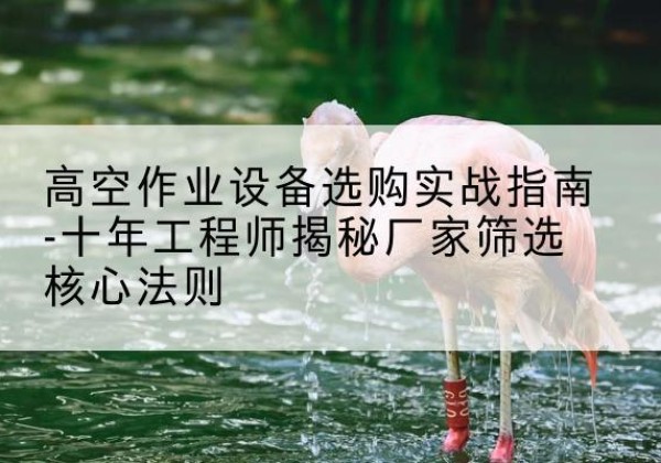 志丹剪叉式升降机厂家-高空作业设备选购实战指南-十年工程师揭秘厂家筛选核心法则
